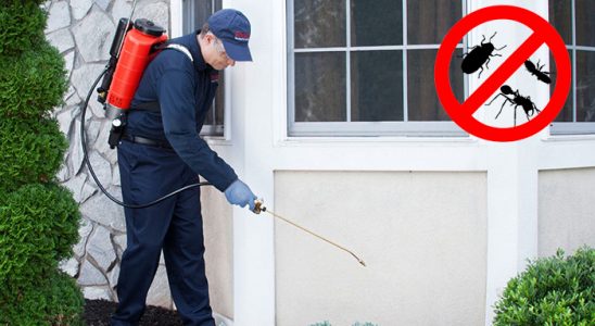 Espiye Hamam Böceği İlaçlama böcek ilaçlama ve haşere kontrolü — ilaclama-tr.com